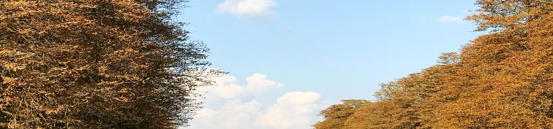 Top Germany Guide banner