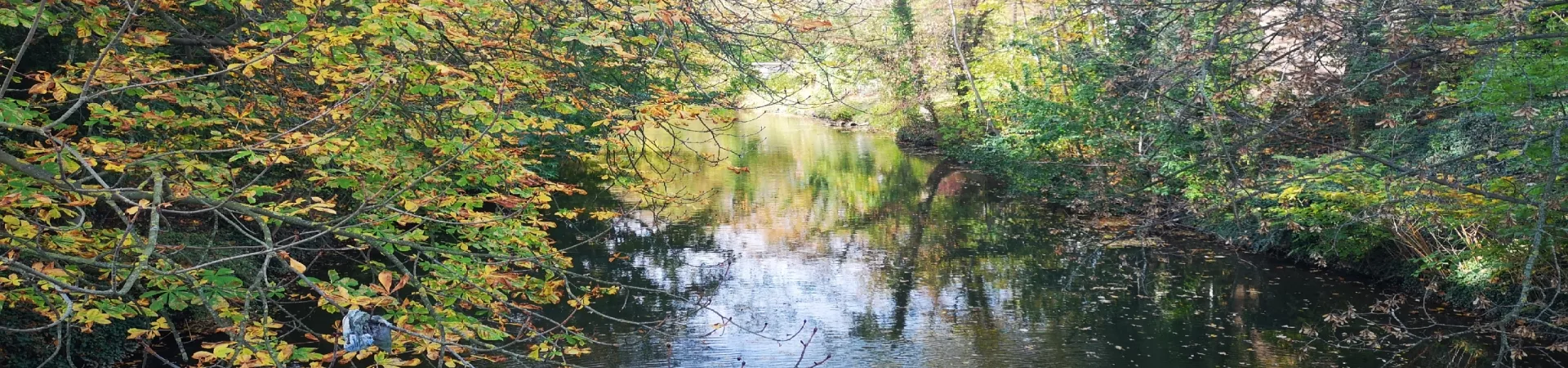 Top Germany Guide banner