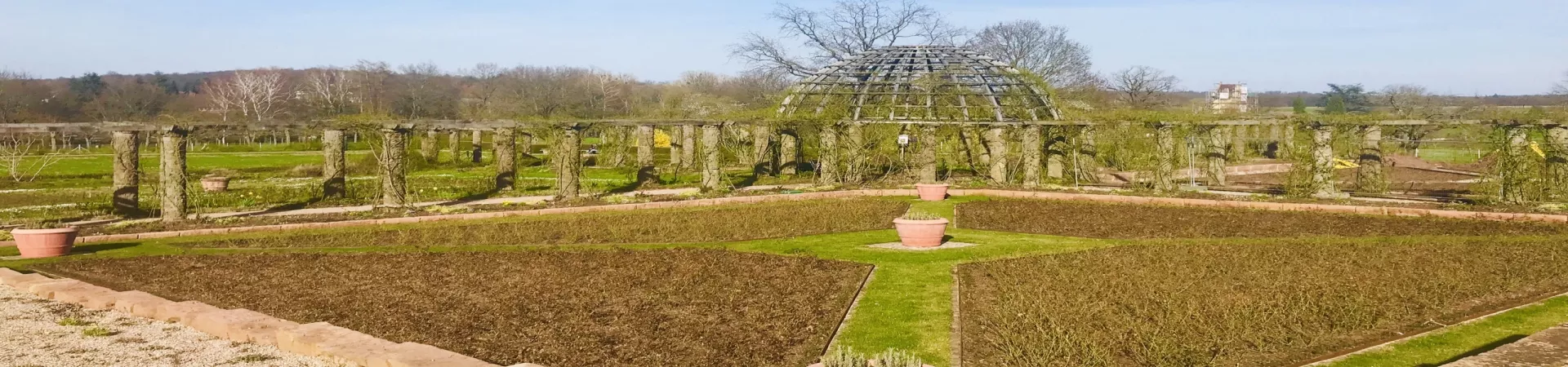 Top Germany Guide banner