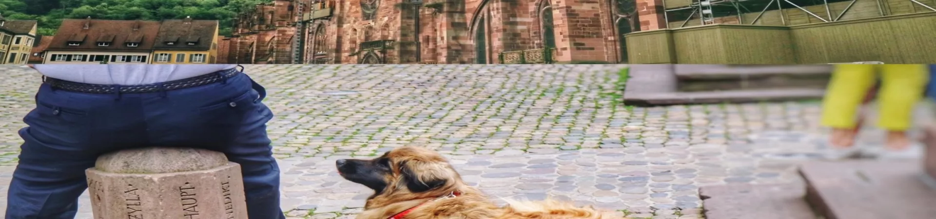 Top Germany Guide banner