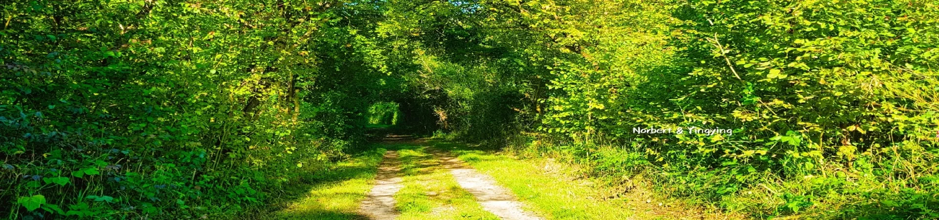 Top Germany Guide banner