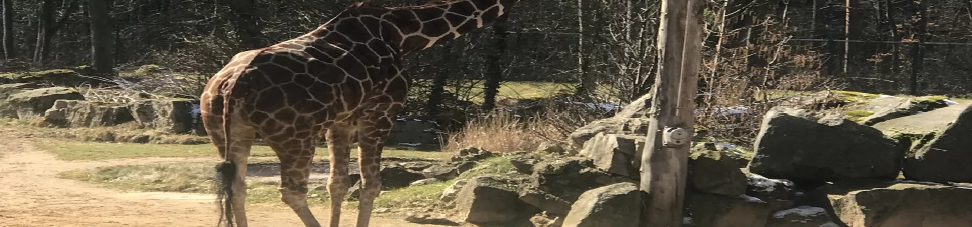 Top Germany Guide banner