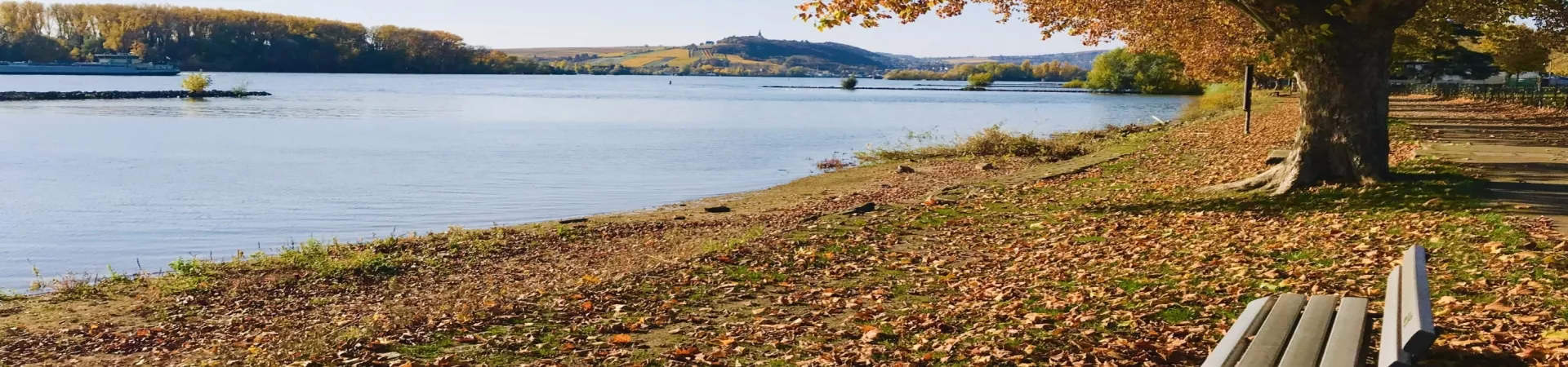 Top Germany Guide banner