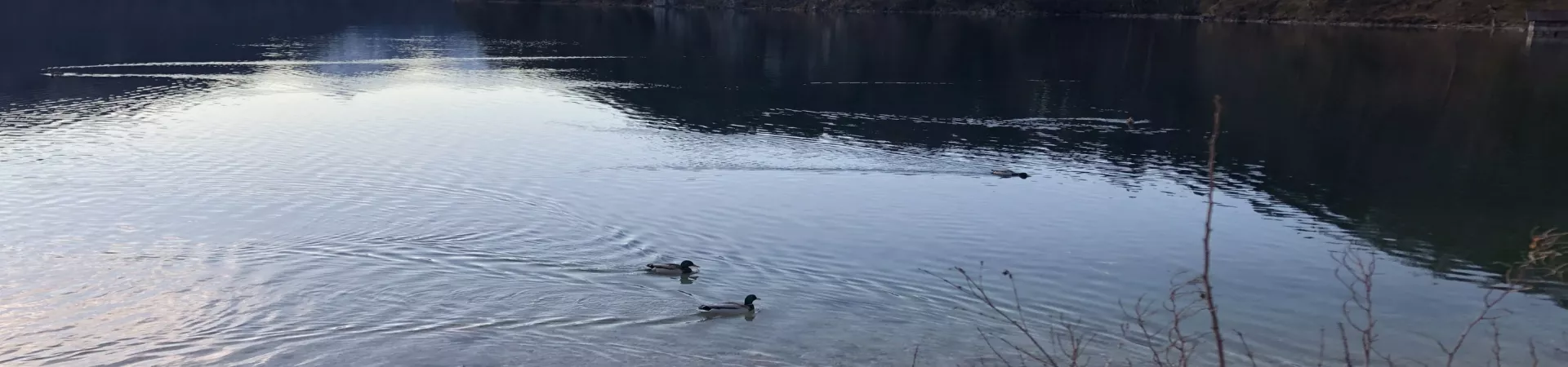 Top Germany Guide banner